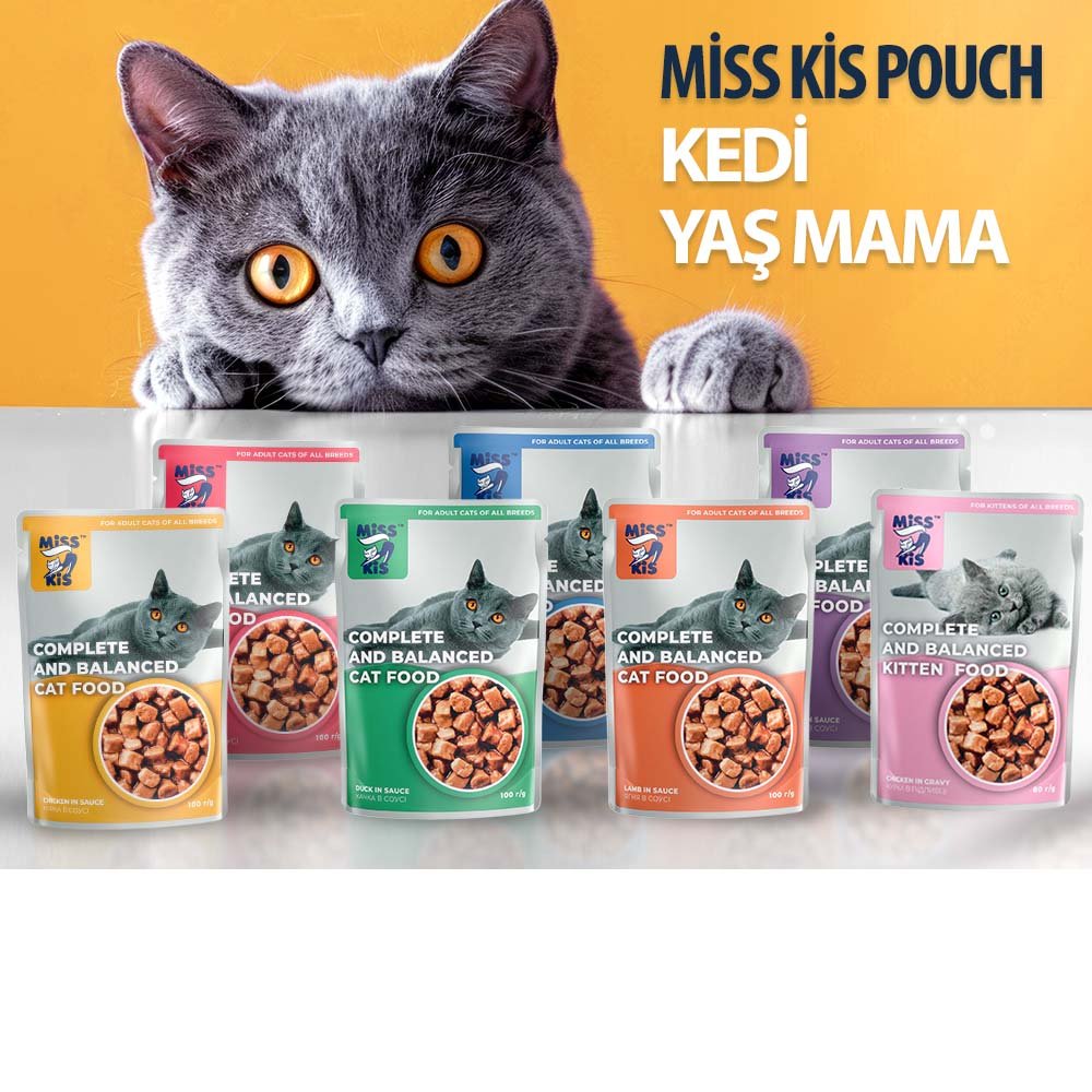 Kedi Yaş Mama Kategorisi
